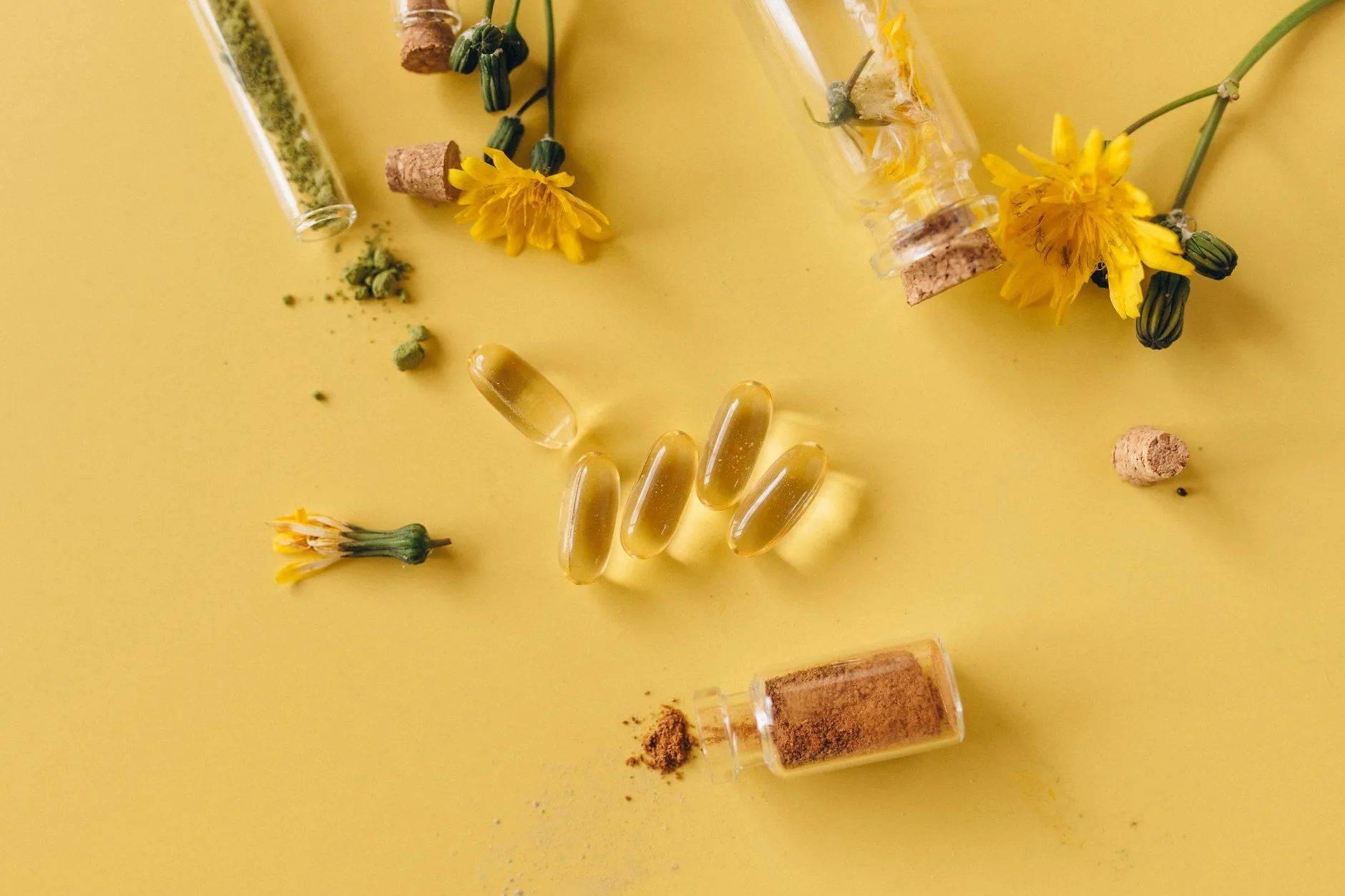 assorted natural herbs and plant extracts on wooden table flat lay
