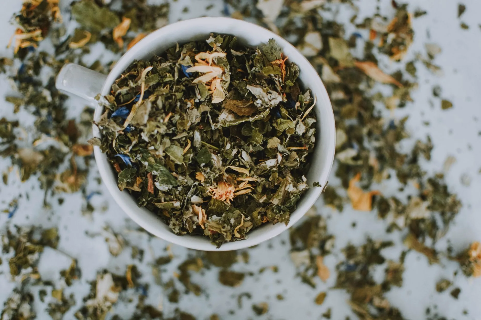 natural thermogenic ingredients green tea flat lay