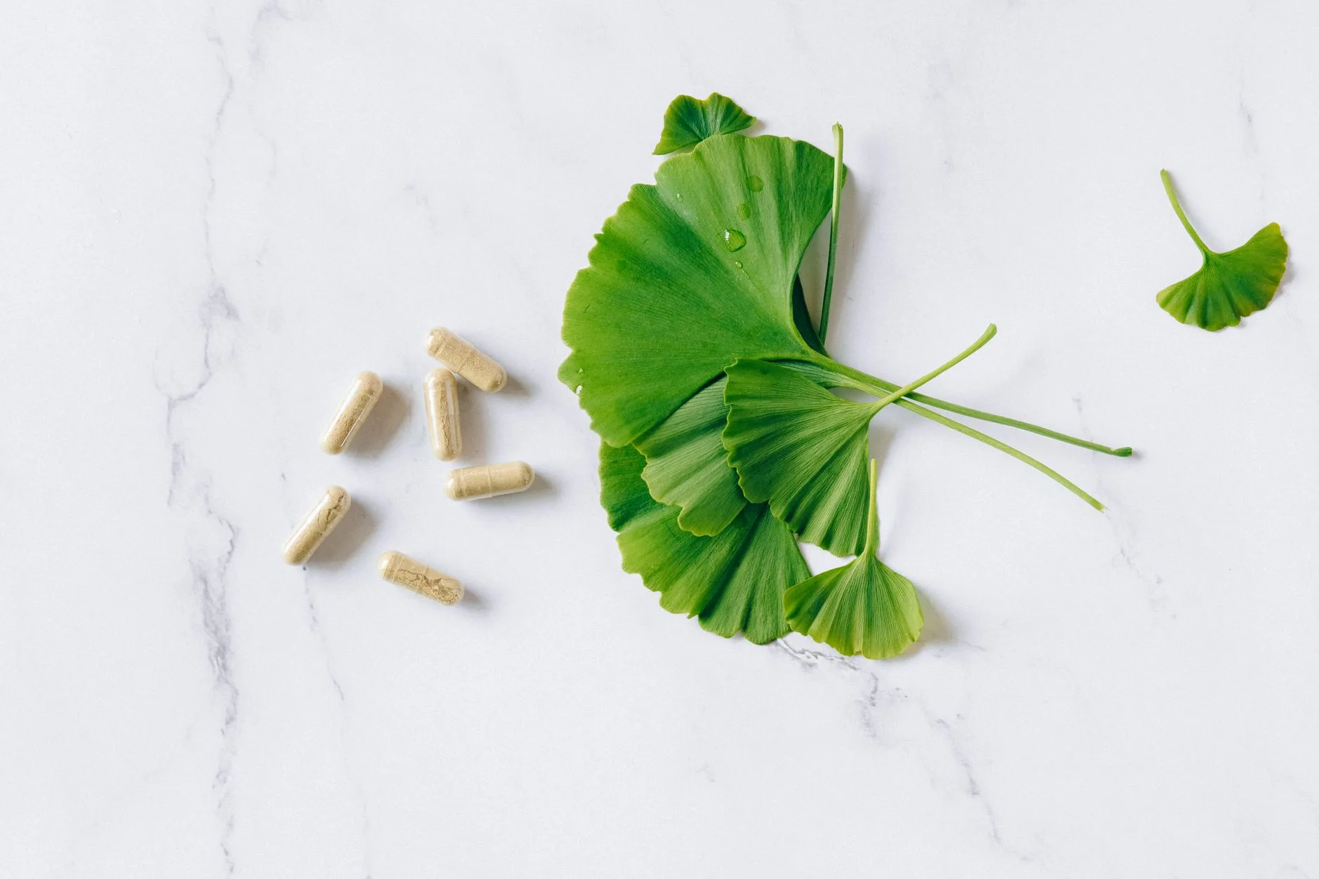 close-up of ginkgo biloba leaves on wooden table