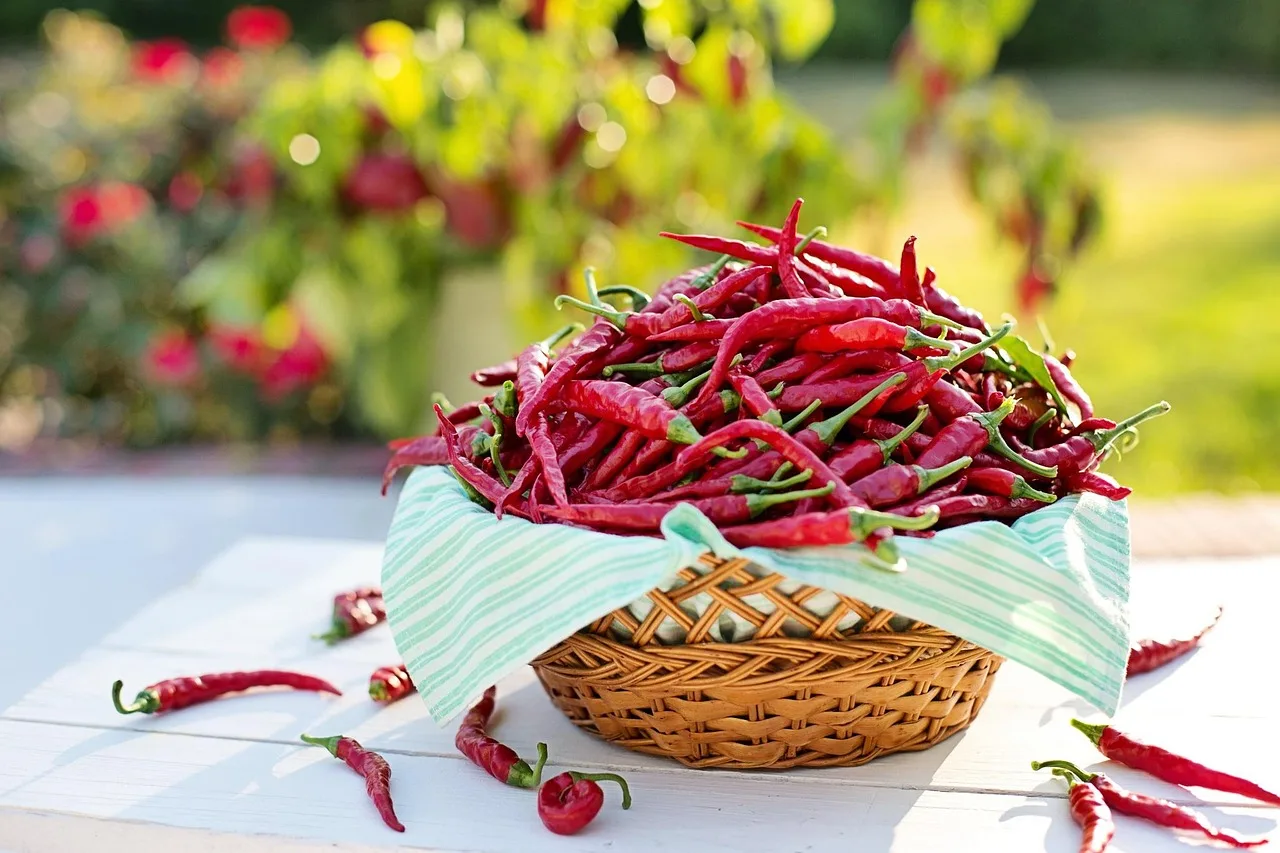 green tea leaves and cayenne peppers together