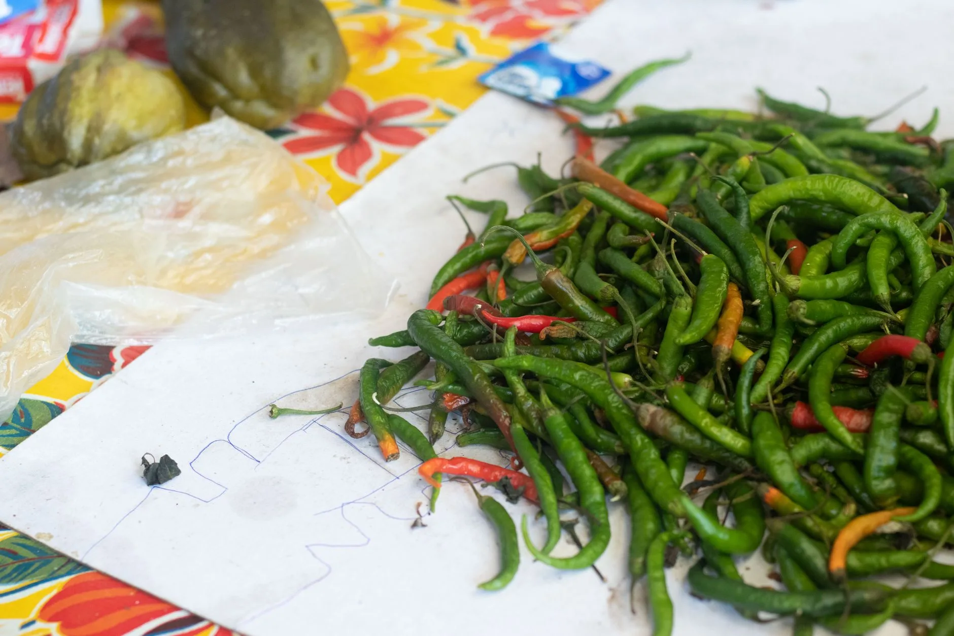 green tea leaves and chili peppers on kitchen counter