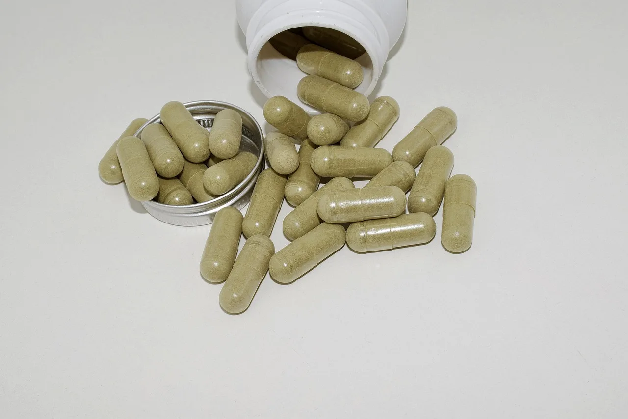 green tea extract and fiber supplement with fresh green tea leaves