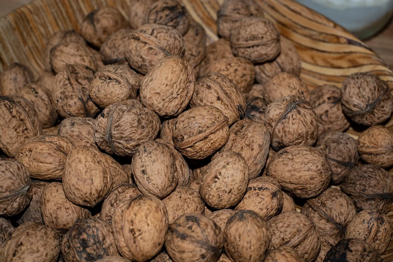healthy brain food omega-3 vitamins for cognition